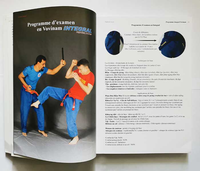 Integral Vovinam