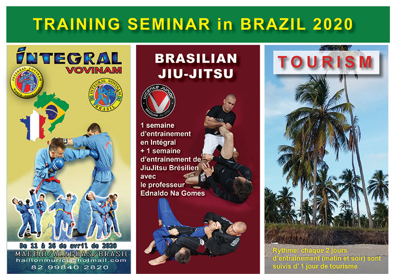 seminar Brasil 2020